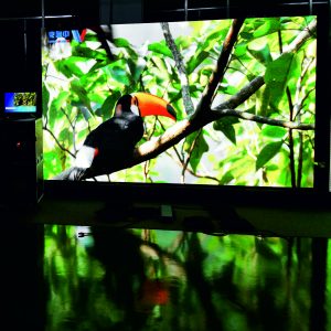LED Videowand & LED Screen | Indoor & Outdoor