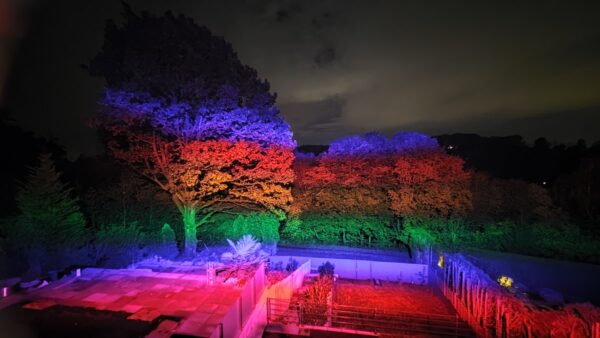 Rainbow LED Light by ETS Lighting Rainbow LED Light by ETS Lighting